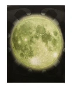 Off-White Super Moon Black Cotton T-shirt -Off-White Sales Store 382fe991ef460652da6087ca40c9c4a4