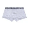 Dolce & Gabbana Elastic Logo Waist Boxer Shorts